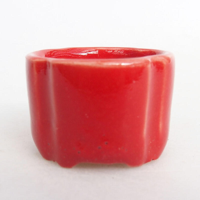 Mini bonsaischaal 3,5 x 3,5 x 2 cm, kleur rood