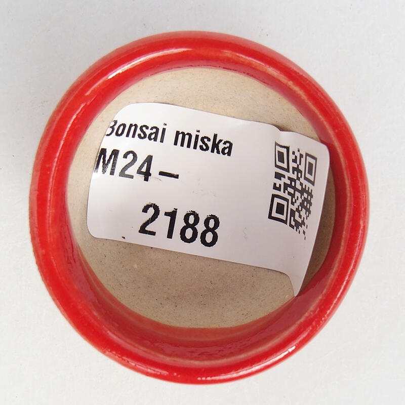 Mini bonsaischaal 3,5 x 3,5 x 2 cm, kleur rood