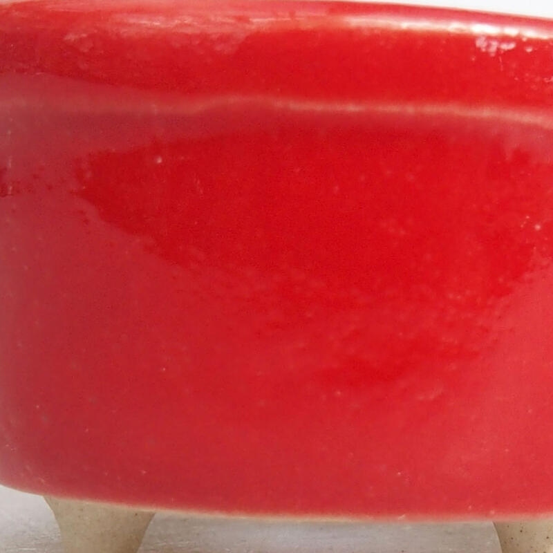 Mini bonsaischaal 3,5 x 3,5 x 2 cm, kleur rood