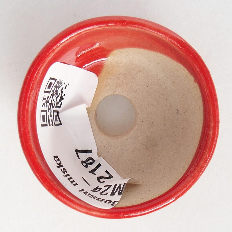 Mini bonsaischaal 3,5 x 3,5 x 2 cm, kleur rood