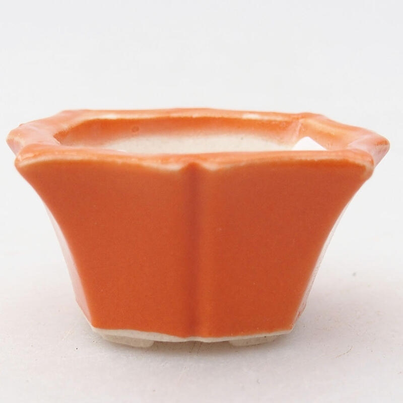 Mini bonsaischaal 3,5 x 3,5 x 2 cm, oranje