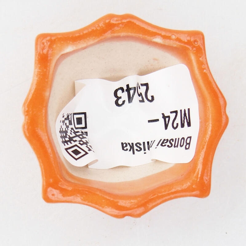 Mini bonsaischaal 3,5 x 3,5 x 2 cm, oranje