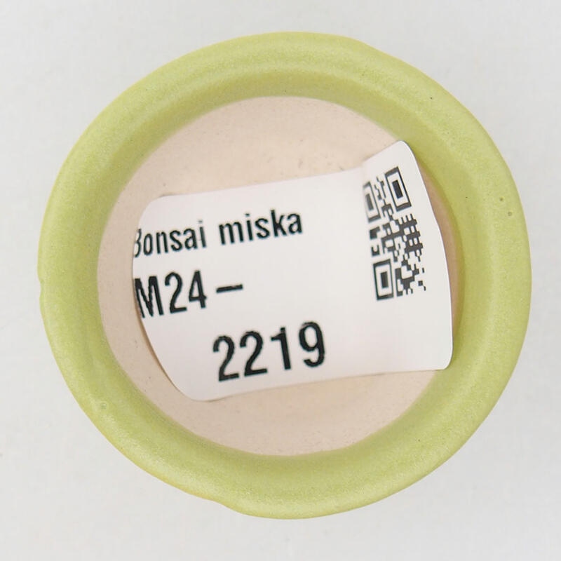 Mini bonsaischaal 3,5 x 3,5 x 2 cm, groen
