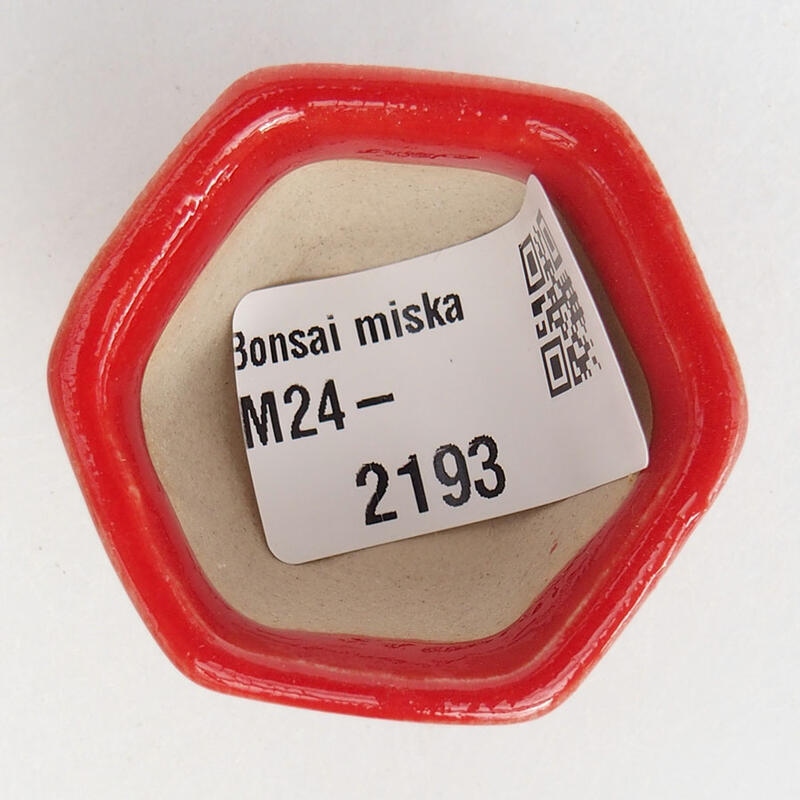 Mini bonsaischaal 3,5 x 3,5 x 3 cm, kleur rood