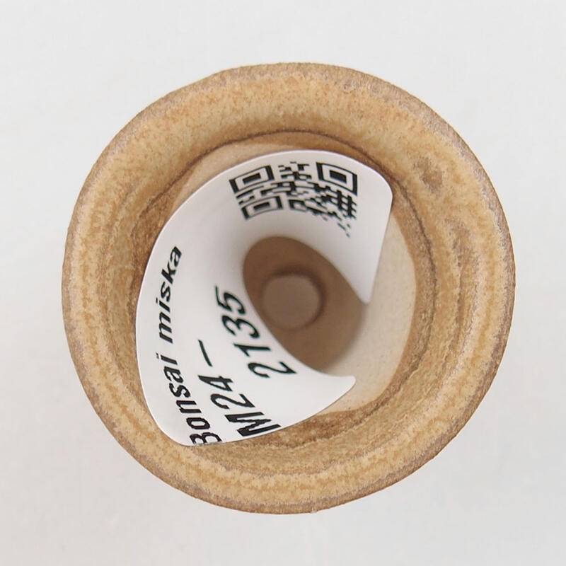 Mini bonsaischaal 3,5 x 3,5 x 4 cm, bruin