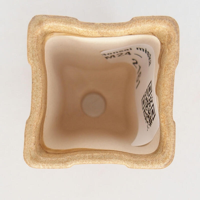 Mini bonsaischaal 3,5 x 3,5 x 6 cm, bruin