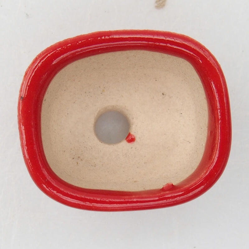 Mini bonsaischaal 3 x 2,5 x 1,5 cm, kleur rood