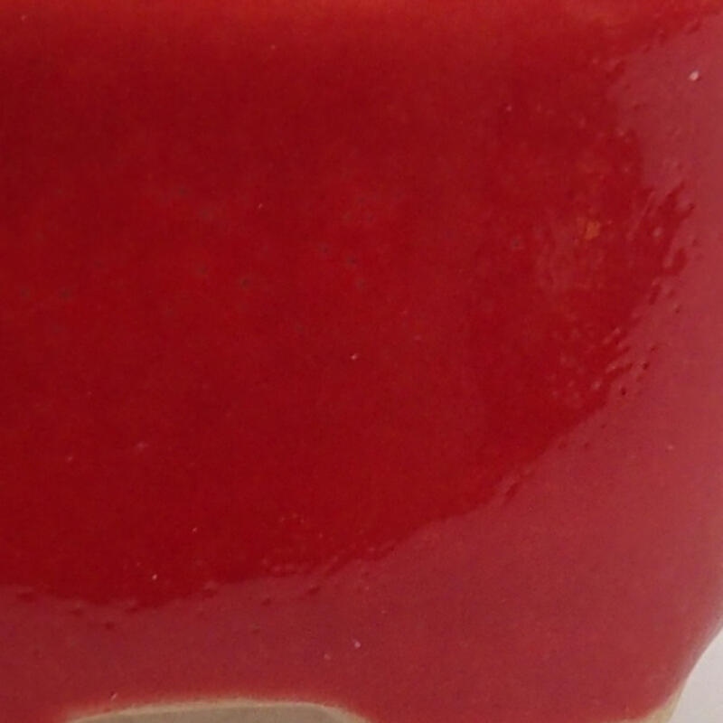 Mini bonsaischaal 3 x 2,5 x 1,5 cm, kleur rood