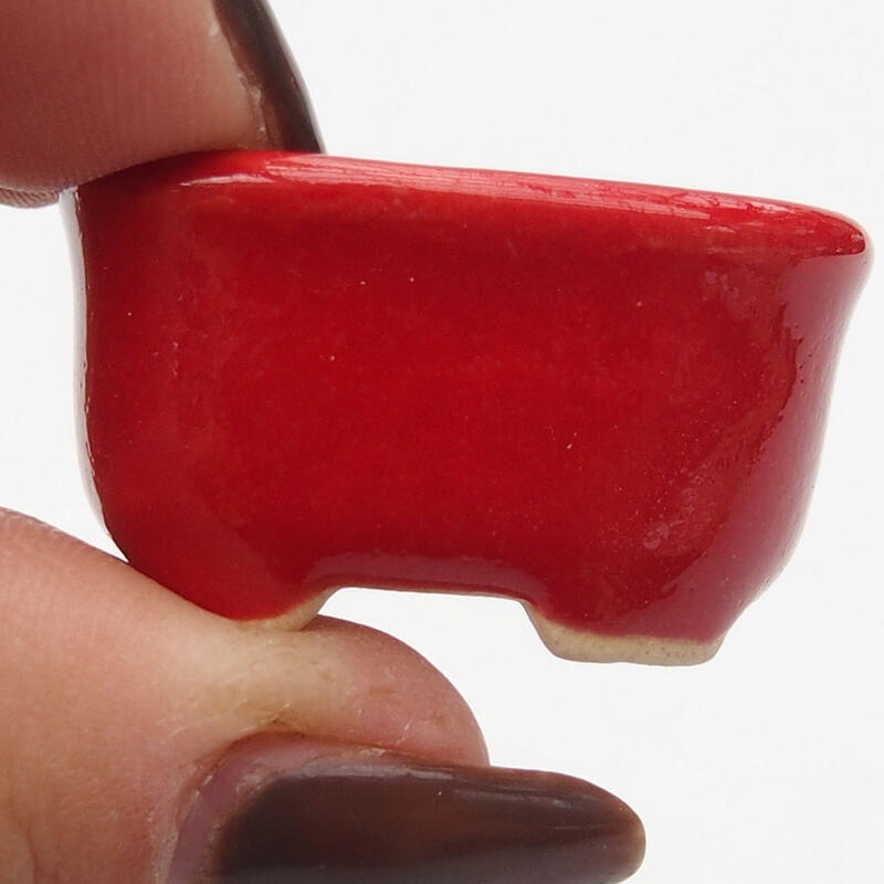 Mini bonsaischaal 3 x 2,5 x 1,5 cm, kleur rood