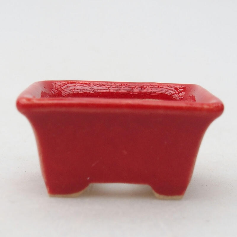 Mini bonsaischaal 3 x 2 x 1,5 cm, kleur rood
