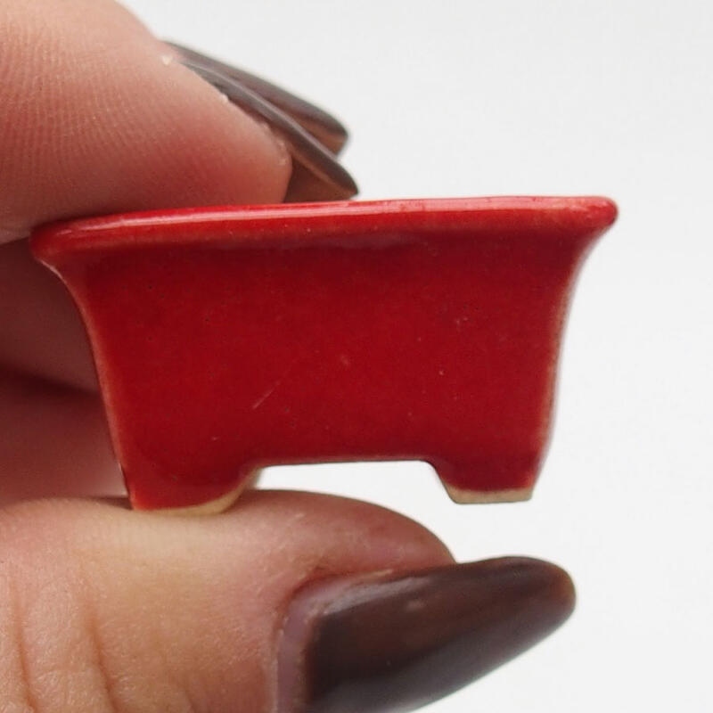 Mini bonsaischaal 3 x 2 x 1,5 cm, kleur rood