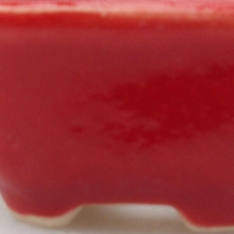 Mini bonsaischaal 3 x 3 x 1,5 cm, kleur rood