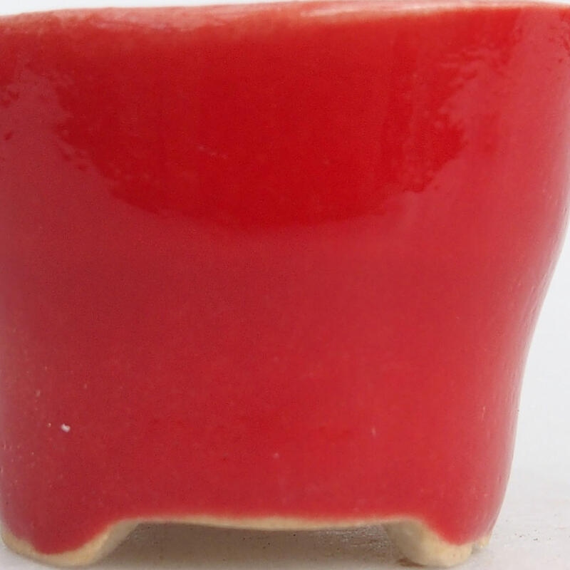 Mini bonsaischaal 3 x 3 x 2,5 cm, kleur rood