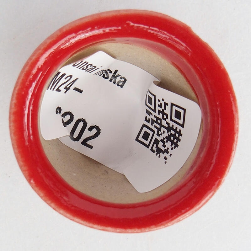 Mini bonsaischaal 3 x 3 x 2,5 cm, kleur rood