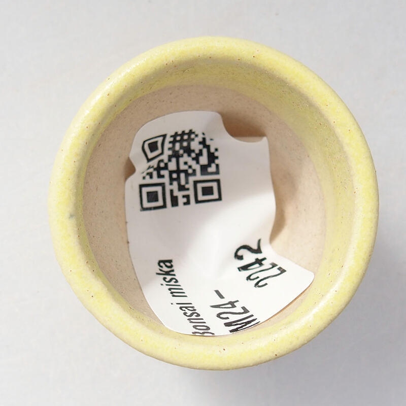 Mini bonsaischaal 3 x 3 x 2,5 cm, geel