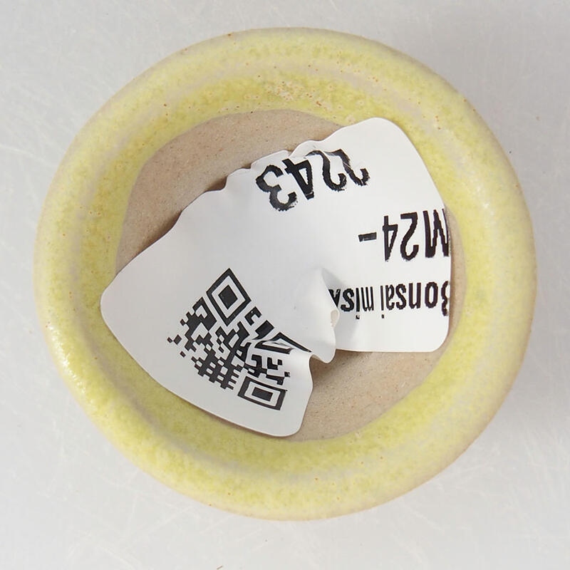 Mini bonsaischaal 3 x 3 x 2 cm, geel