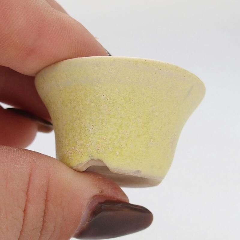 Mini bonsaischaal 3 x 3 x 2 cm, geel