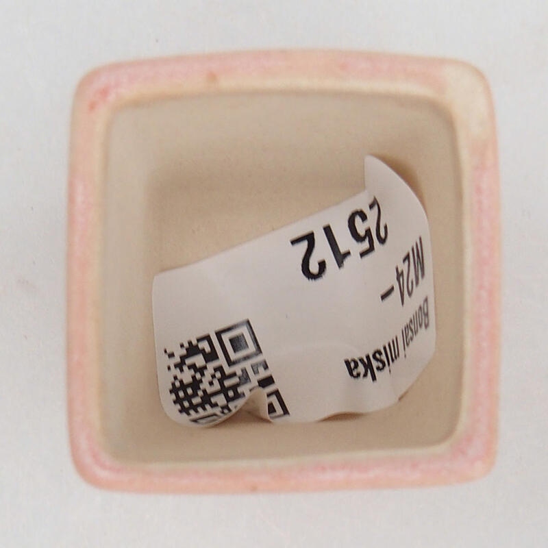 Mini bonsaischaal 3 x 3 x 3,5 cm, roze