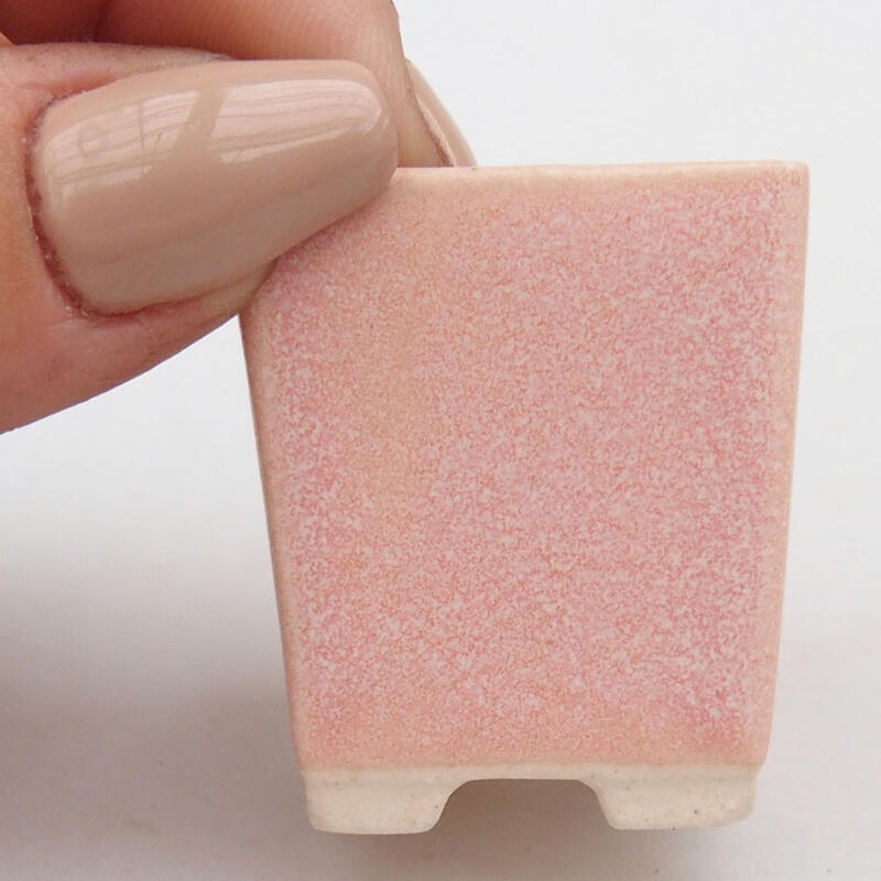 Mini bonsaischaal 3 x 3 x 3,5 cm, roze