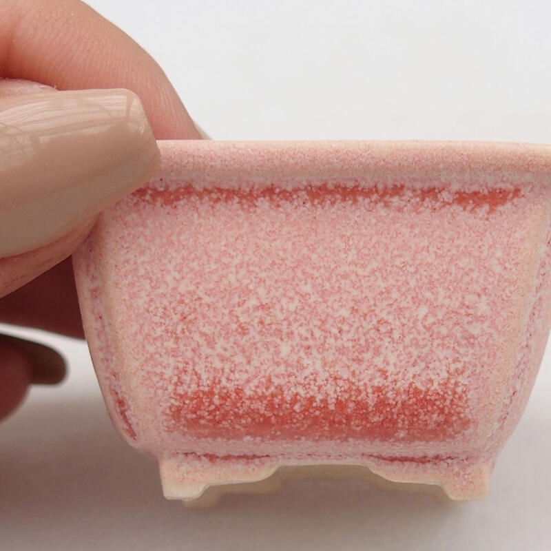 Mini bonsaischaal 4,5 x 3,5 x 2,5 cm, roze
