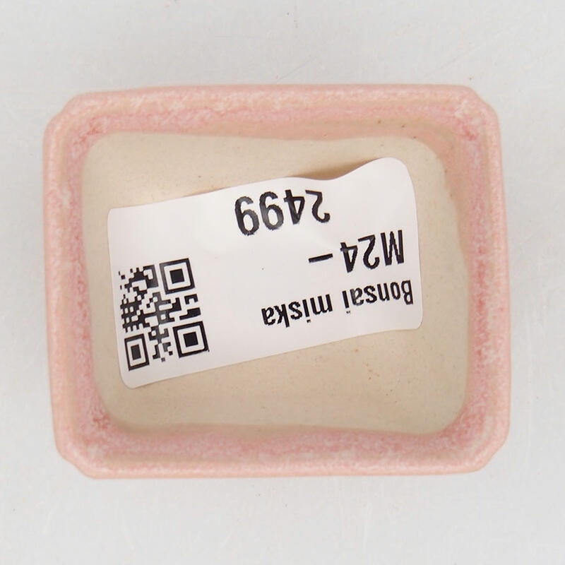 Mini bonsaischaal 4,5 x 3,5 x 2,5 cm, roze