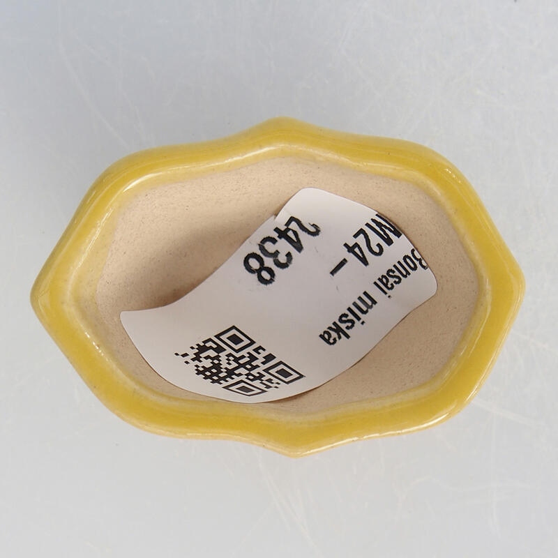 Mini bonsaischaal 4,5 x 3,5 x 2,5 cm, geel