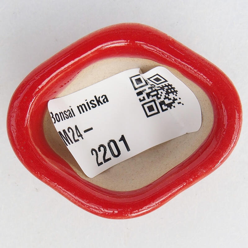 Mini bonsaischaal 4,5 x 3,5 x 2 cm, kleur rood