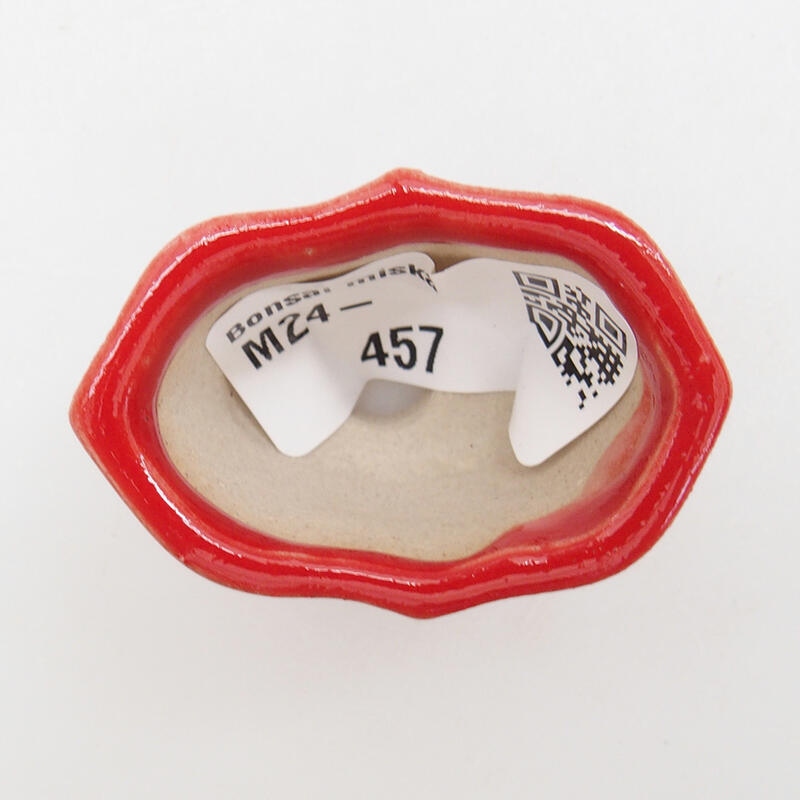 Mini bonsaischaal 4,5 x 3 x 2,5 cm, kleur rood