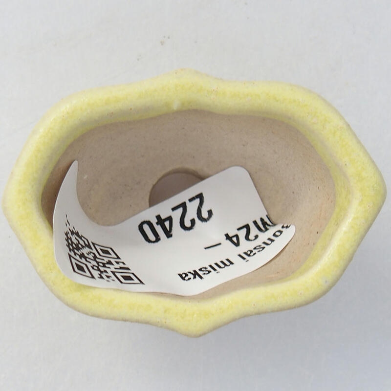 Mini bonsaischaal 4,5 x 3 x 2,5 cm, geel