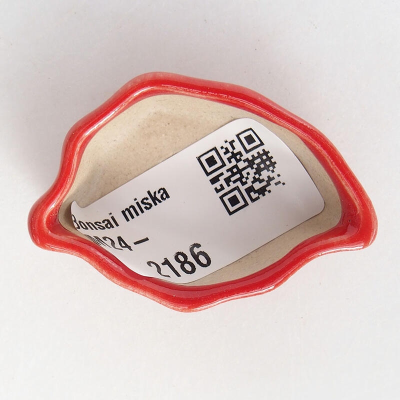 Mini bonsaischaal 4,5 x 3 x 2 cm, kleur rood