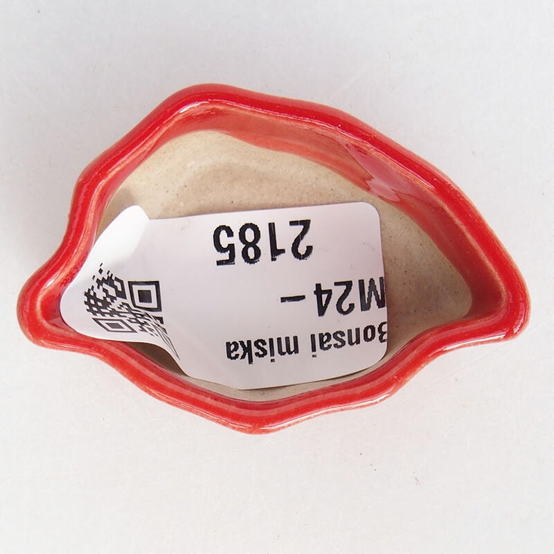 Mini bonsaischaal 4,5 x 3 x 2 cm, kleur rood