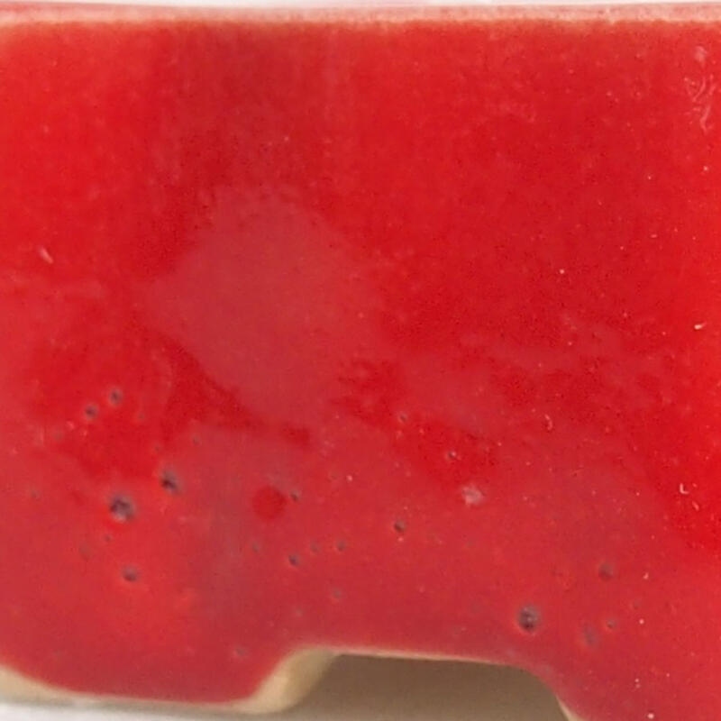 Mini bonsaischaal 4,5 x 3 x 2 cm, kleur rood