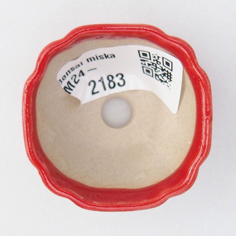 Mini bonsaischaal 4,5 x 4,5 x 2,5 cm, kleur rood