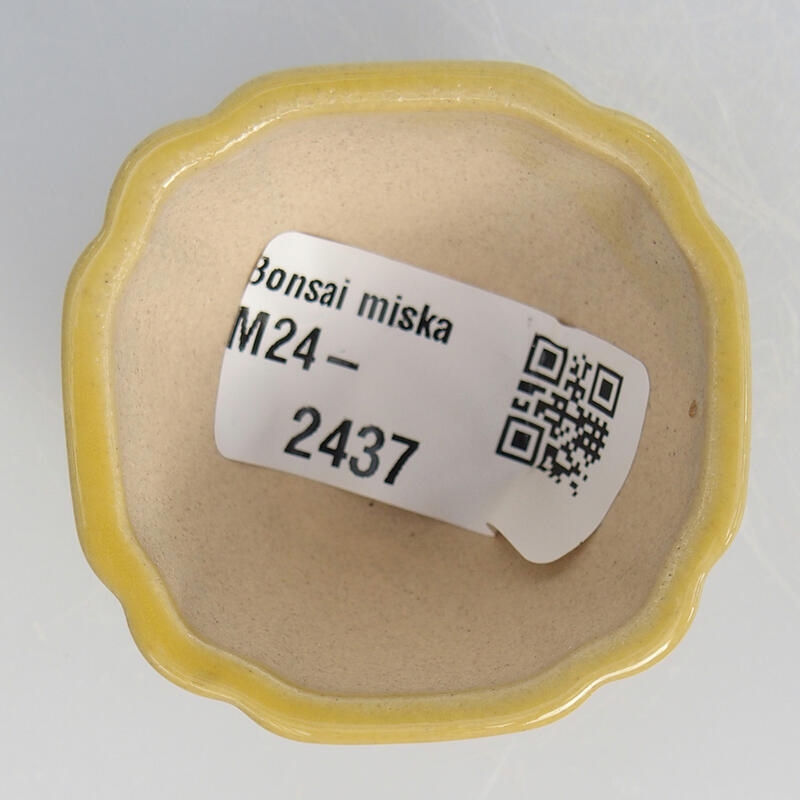 Mini bonsaischaal 4,5 x 4,5 x 2,5 cm, geel