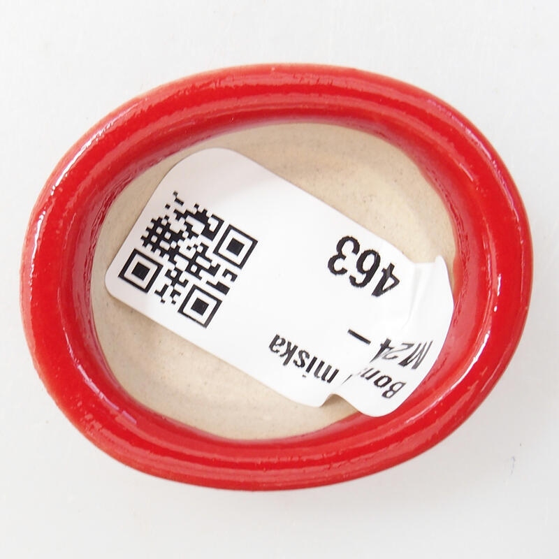 Mini bonsaischaal 4,5 x 4 x 2 cm, kleur rood