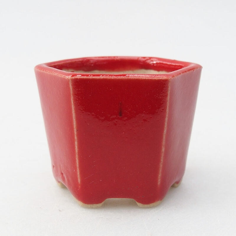 Mini bonsaischaal 4,5 x 4 x 3,5 cm, kleur rood