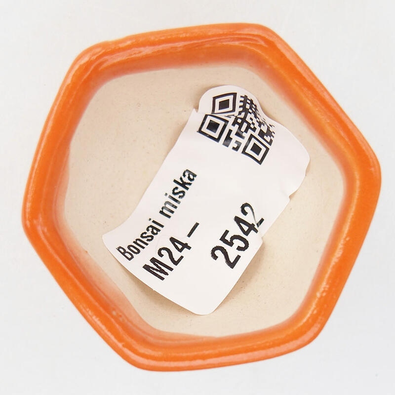 Mini bonsaischaal 4,5 x 4 x 3 cm, oranje
