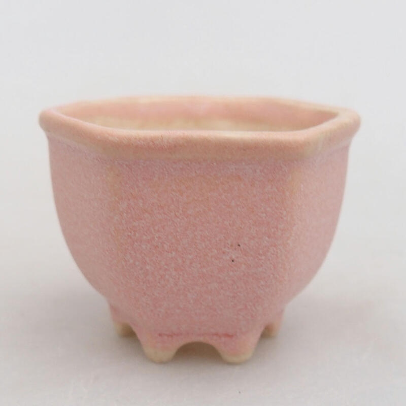 Mini bonsaischaal 4,5 x 4 x 3 cm, roze