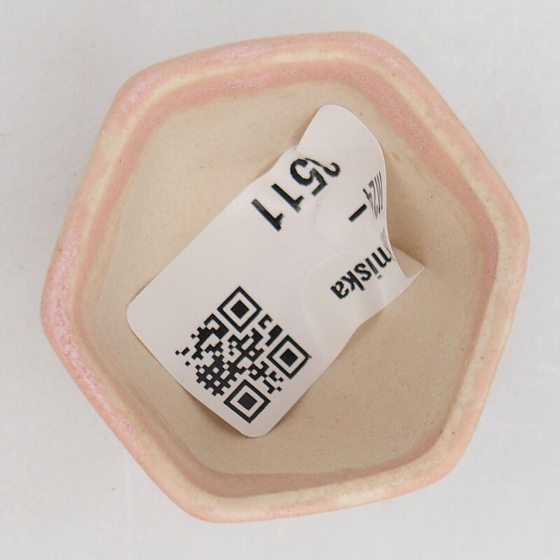 Mini bonsaischaal 4,5 x 4 x 3 cm, roze