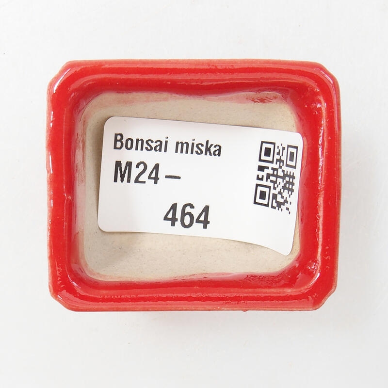 Mini bonsaischaal 4 x 3,5 x 2,5 cm, kleur rood