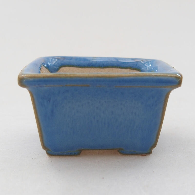 Mini bonsaischaal 4 x 3,5 x 2,5 cm, kleur blauw