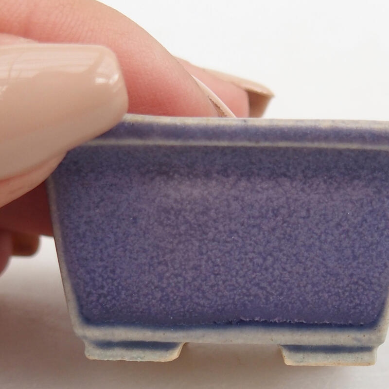 Mini bonsaischaal 4 x 3,5 x 2 cm, kleur paars