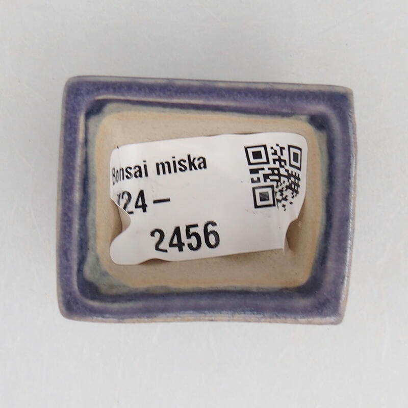 Mini bonsaischaal 4 x 3,5 x 2 cm, kleur paars