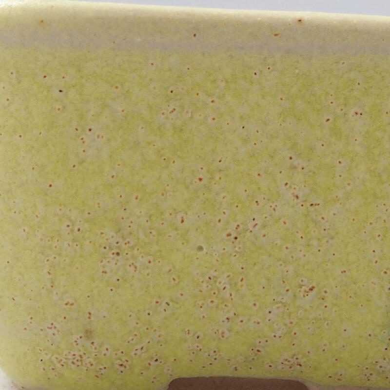 Mini bonsaischaal 4 x 3,5 x 2 cm, geel