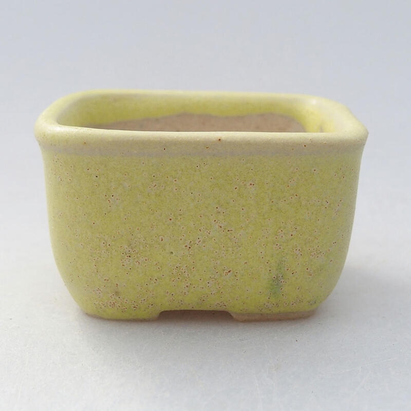 Mini bonsaischaal 4 x 3,5 x 2 cm, geel