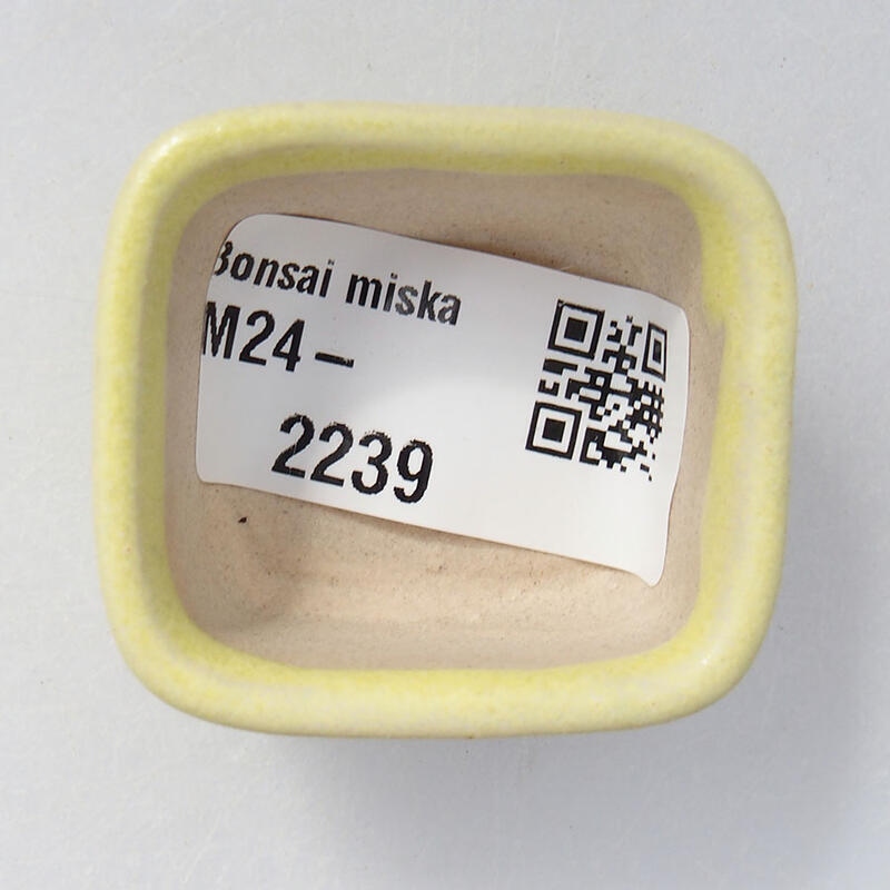 Mini bonsaischaal 4 x 3,5 x 2 cm, geel
