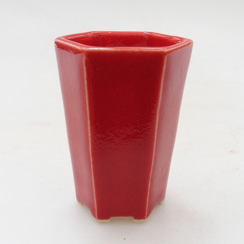 Mini bonsaischaal 4 x 3,5 x 6 cm, kleur rood