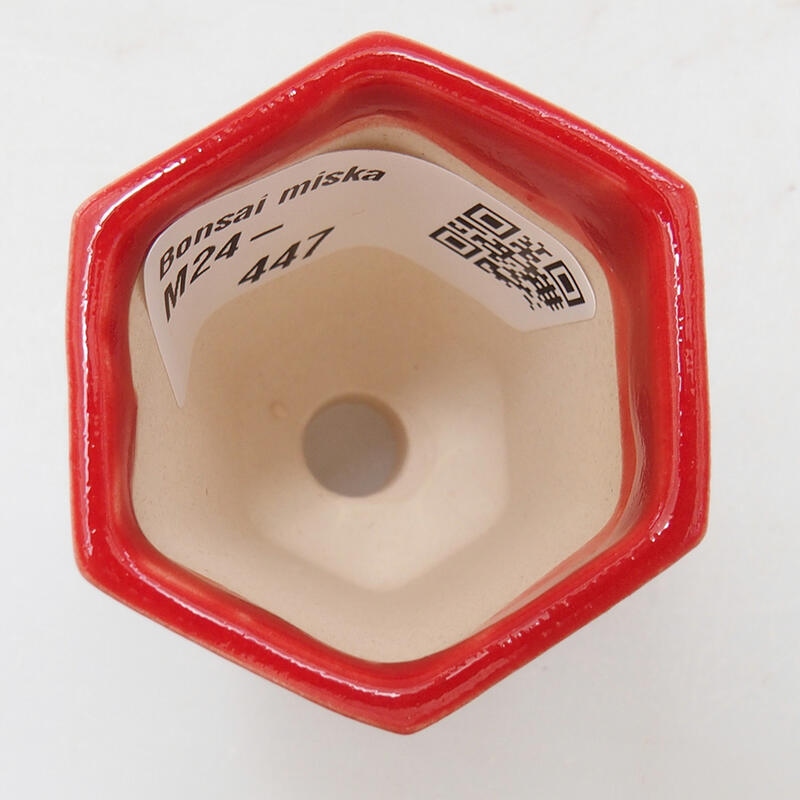 Mini bonsaischaal 4 x 3,5 x 6 cm, kleur rood