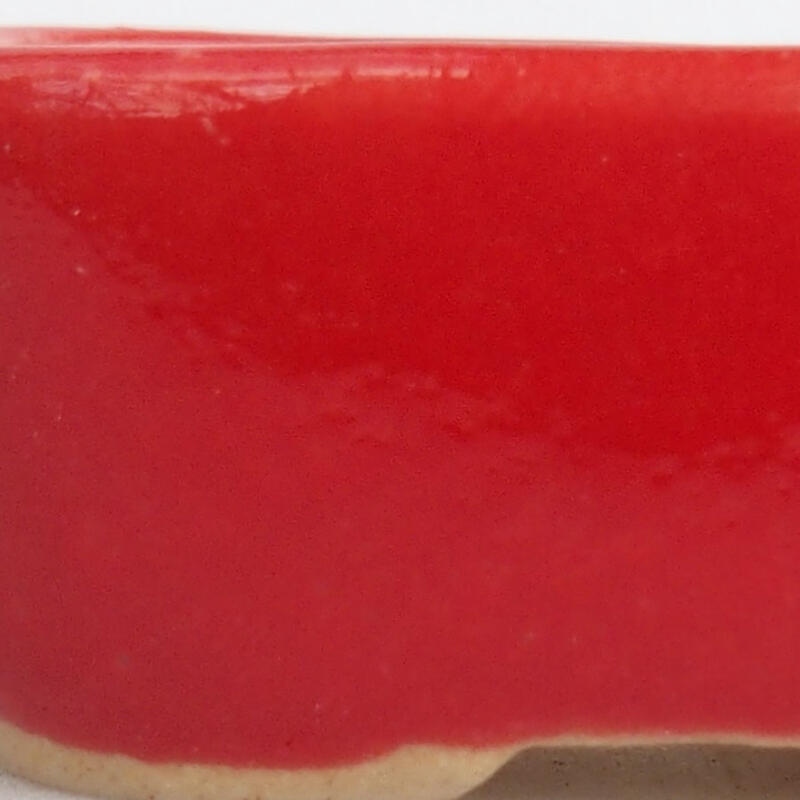 Mini bonsaischaal 4 x 3 x 1,5 cm, kleur rood