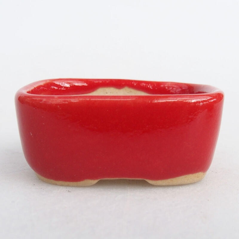Mini bonsaischaal 4 x 3 x 1,5 cm, kleur rood